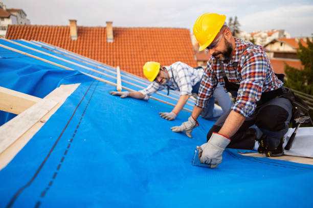 Best Roof Gutter Cleaning  in Good Hope, CA
